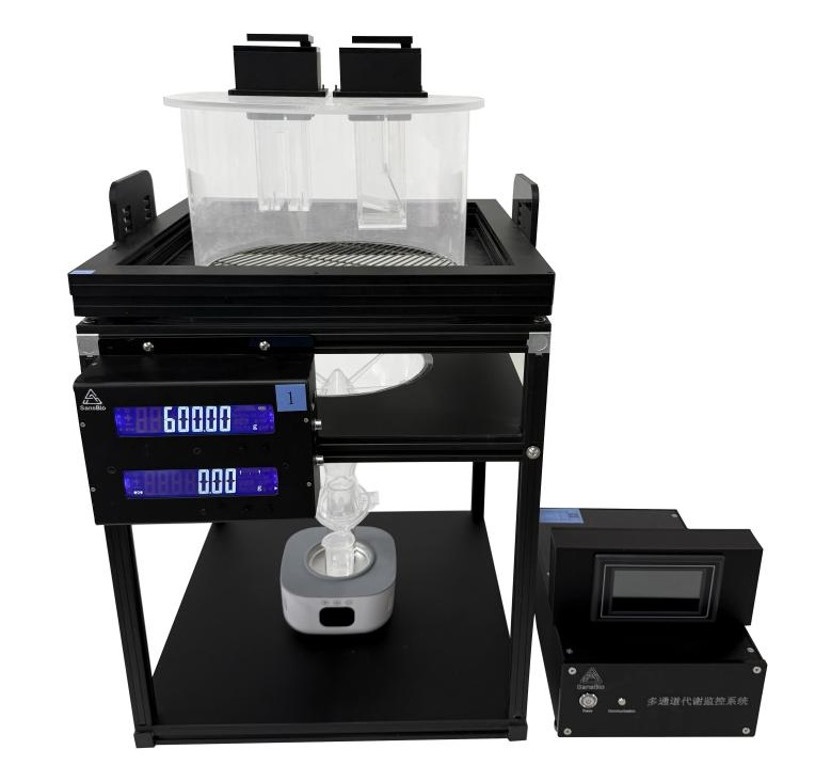 Metabolism Monitoring System